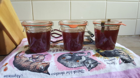 Three jars of delicious JAM.